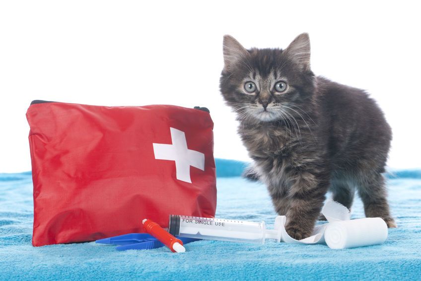 La trousse d'urgence